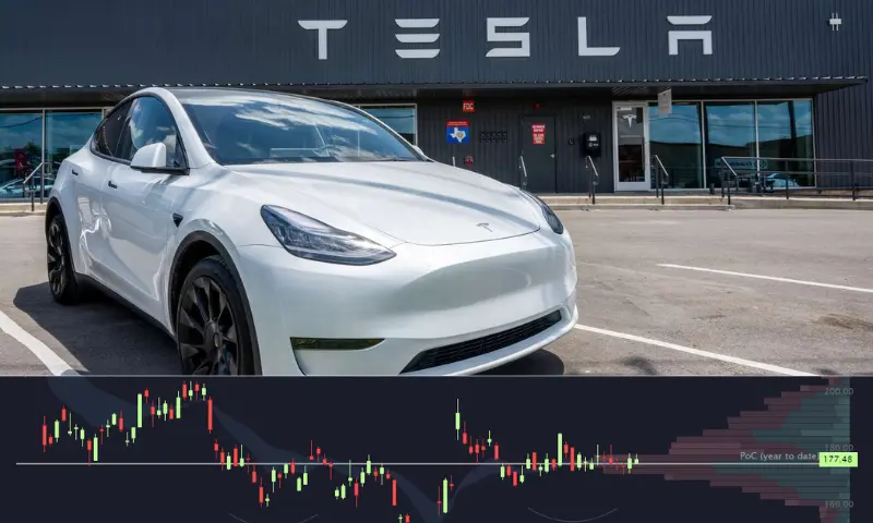 Tesla Stock Plummets on Earnings Report